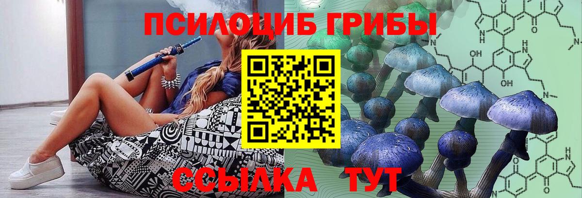 Галлюциногенные грибы Magic Shrooms Выборг