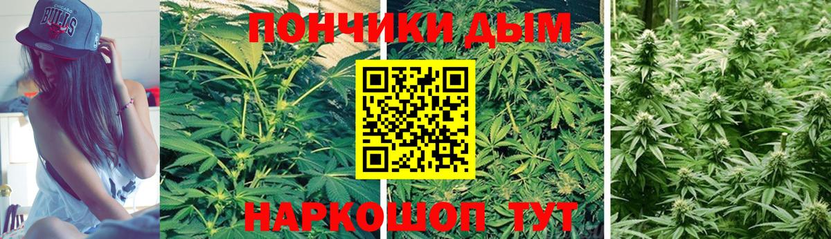Выборг  Бошки марихуана White Widow  Вход с VPN  Бошки Шишки White Widow  МАРИХУАНА THC 21% 